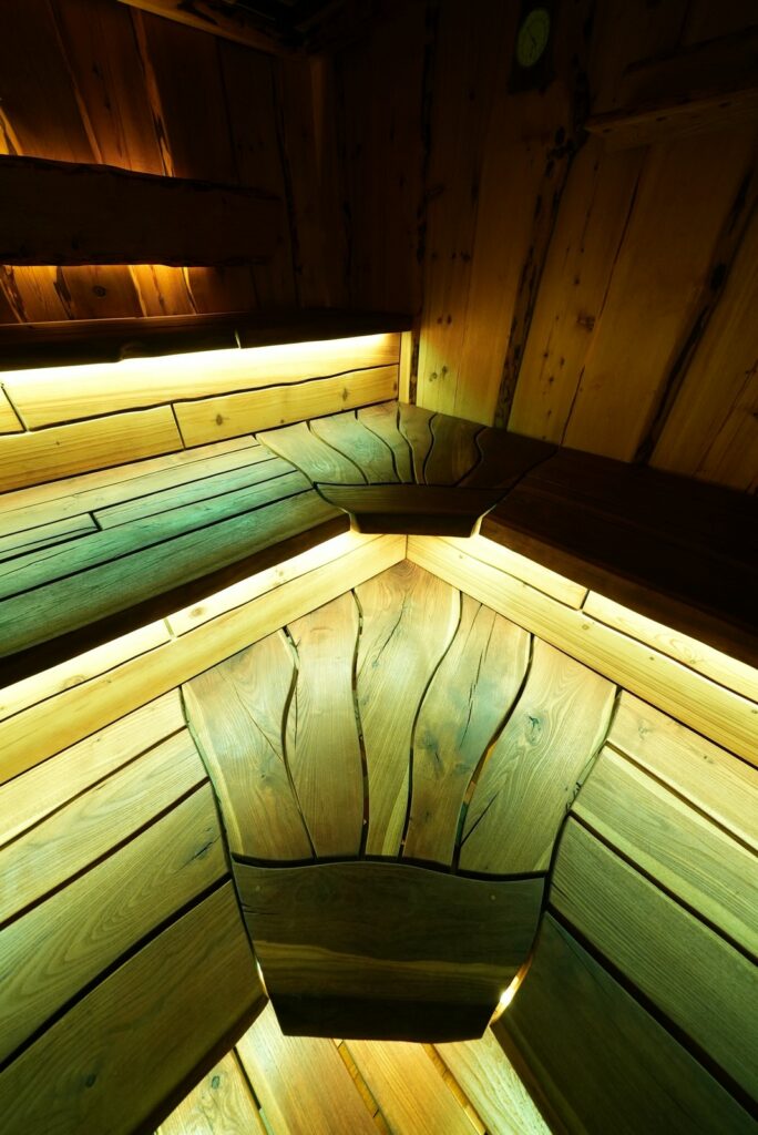 Проект "Тайгапар Царь Баня"