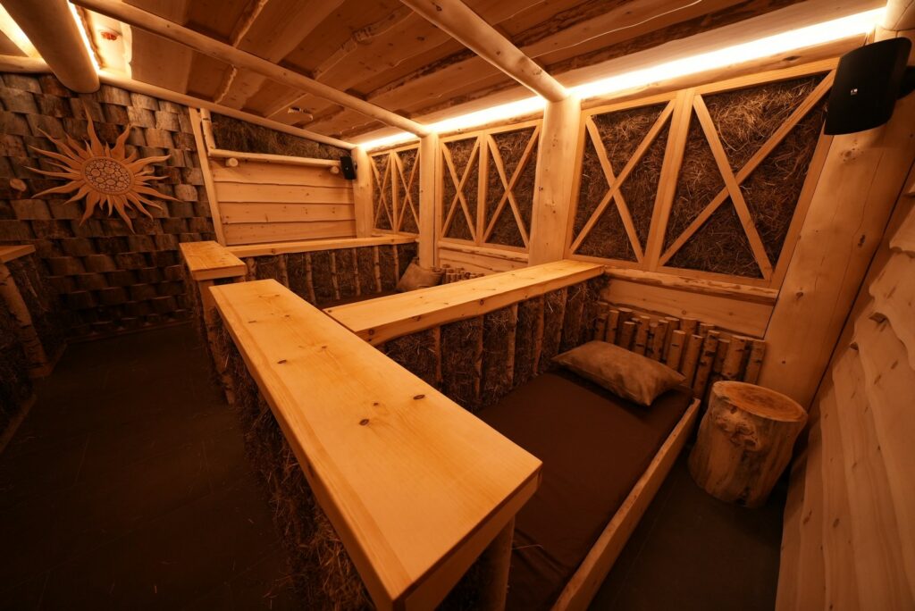 Проект "Тайгапар Сенная комната"