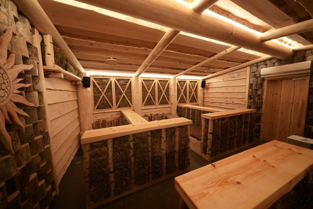 Проект "Тайгапар Сенная комната"